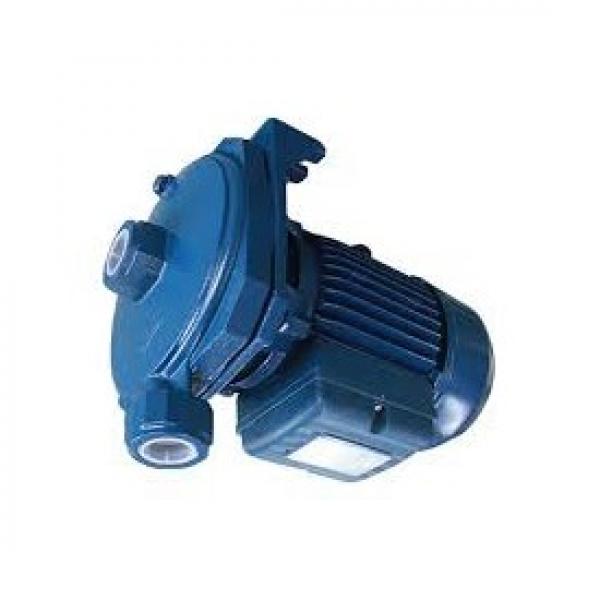 Bosch Hydraulic Pump 051062597 #1 image