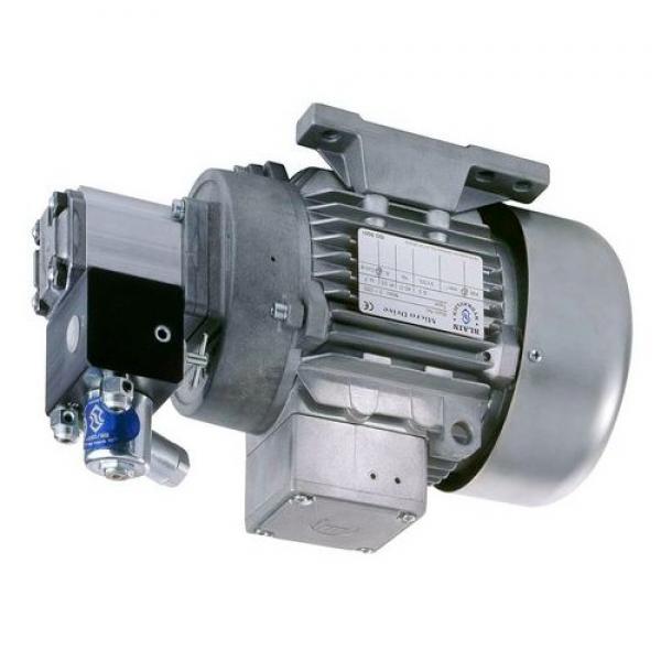 Flowfit Hydraulic Group 1 Mechanical Clutch Pump Assembly #1 image