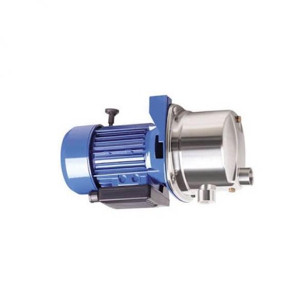 20 Ton Hydraulic Pump Hydraulic Ram Cylinder Pressure Gauge Workshop Shop Press #1 image