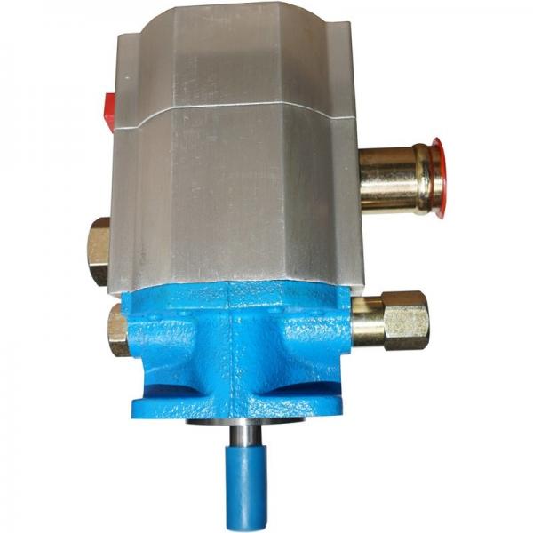 Galtech Hydraulic Gear Pump, Group 1, BSP Ports, 1 1:8 Taper, 4 Bolt Flange #1 image
