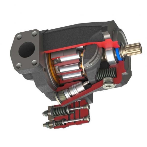 Kit Revisione Pompa Iniezione Diesel Bosch CP1/K3 e/o CP1/S3 a Pistoni Assiali  #1 image