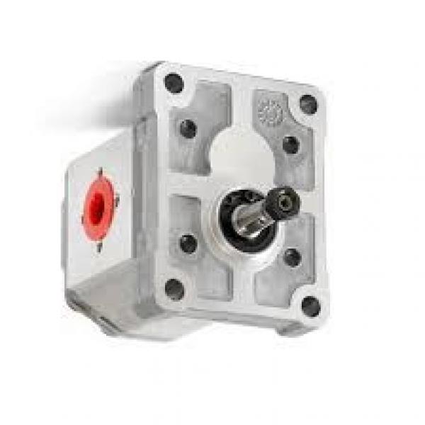 Macchina idraulica manuale della pompa di prova del tester della pressione D3B5 #1 image