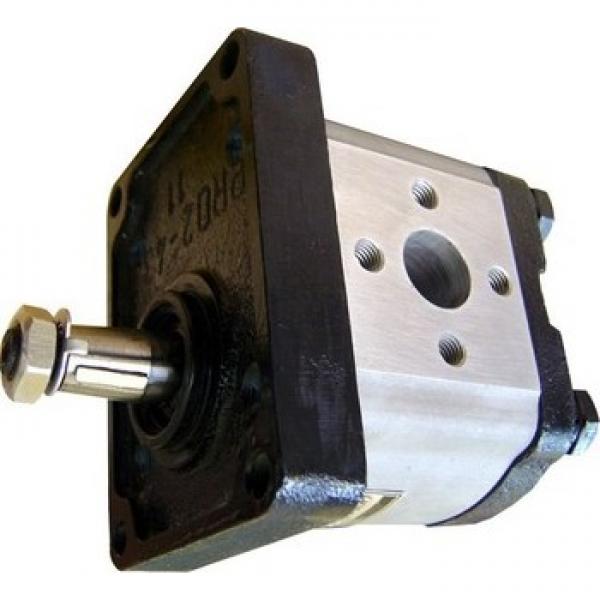 NUOVA pompa idraulica per Ford/NEW HOLLAND 1520 Trattore compatto SBA340450500 #1 image