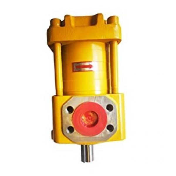 OSCULATI Pompa olio/gasolio/liquidi 12 V (16.190.60) #1 image