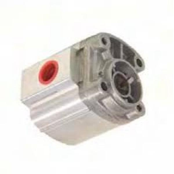 POMPA idraulica LAMBORGHINI GALLARDO Power Unit valves 086325181c Pompa Valvola #1 image
